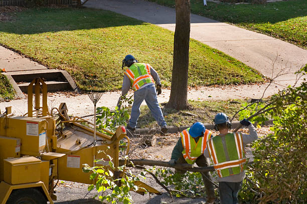 Lawn Pest Prevention in Beaver, UT